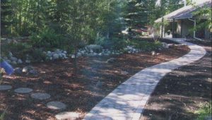 landscaping edmonton - hardscaping and softscaping